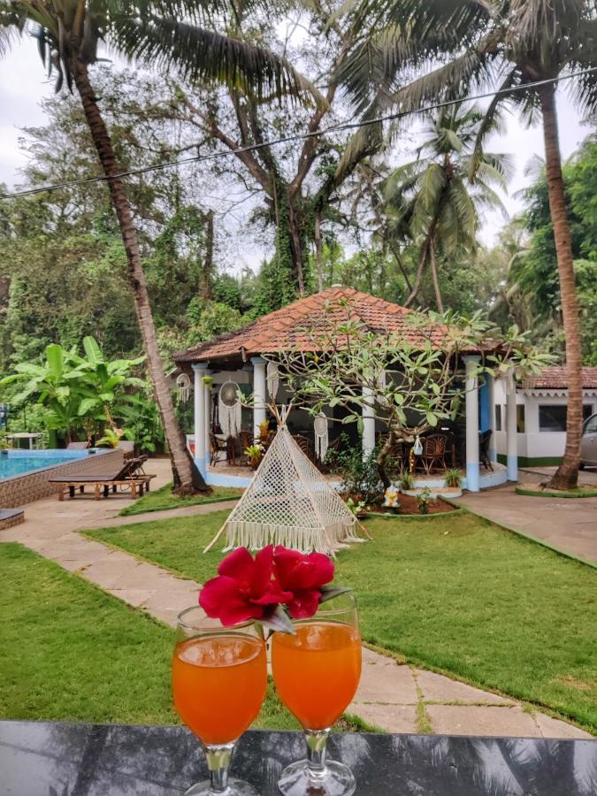 Heaven Goa Guesthouse Benaulim Exteriér fotografie